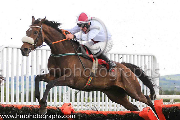 05th Minella Away and P T Enright ( 10 , white, biege stripe ) Trainer - J Nallen , Owner - John J Nallen