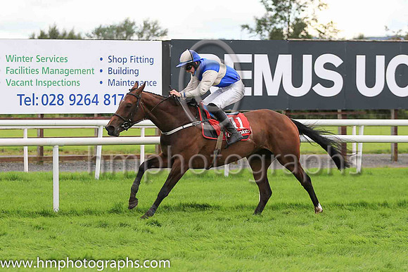 01st Sheer Liss and Mr M J M '?Sullivan ( 11 , blue, white hoop ) Trainer - P F Cashman , Owner - Mrs C Cashman