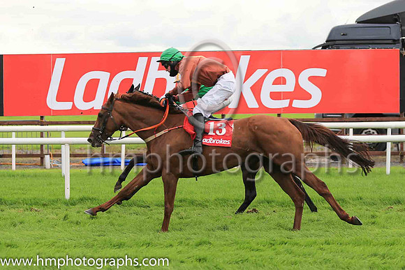 04th Whispering Gypsy and Mr J P O?Rourke ( 13 , black, orange spot ) Trainer - P O?Rourke , Owner - P O?Rourke