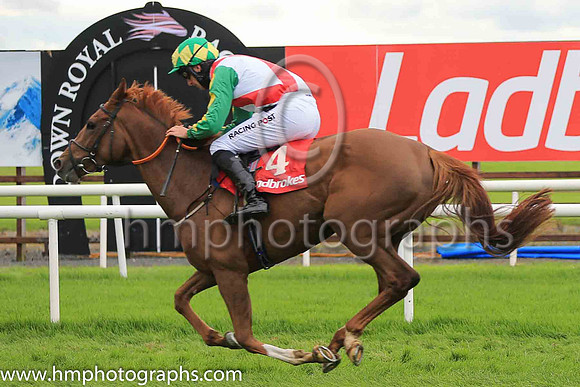 05th Rambling Rose and Mr P W Mullins ( 4 , white, red cross sashes ) Trainer - S Ryan , Owner - William G Fitzgerald