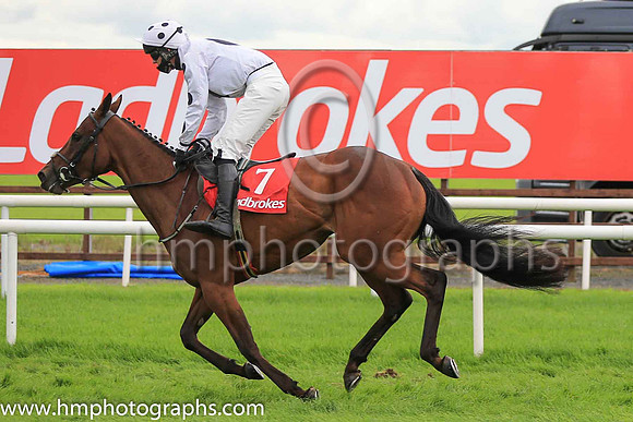 06th Fanoir and Mr D O?Connor ( 7 , white, black star ) Trainer - G O'Loughlin , Owner - Gearoid O'Loughlin