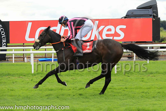 09th Brooks Falls and Mr F Maguire ( 1 , black, purple seams ) Trainer - J P Ryan , Owner - J A Magill