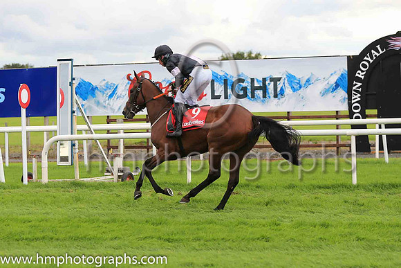 nr Lady Vera?and Mr D L Queally ( 8 , red, back diamond ) Trainer - D u eally , Owner - Mrs Carmel Ennis
