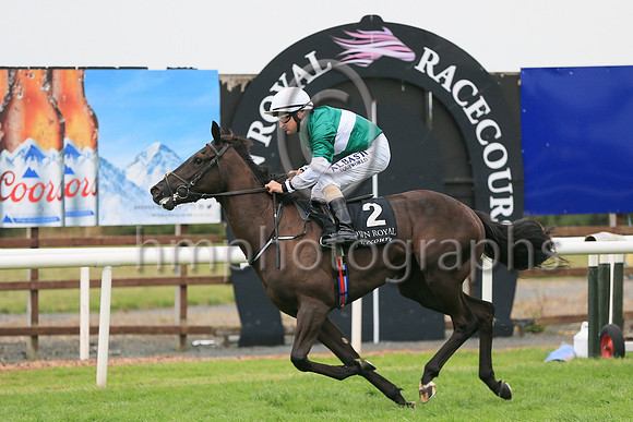 01st Panic Alarm (2 , dark green, white hoop ) Jockey: S Foley , Trainer: Mrs John Harrington