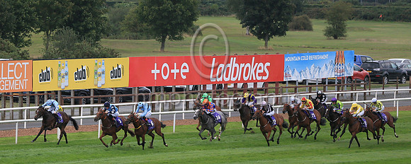 01st Pub Talk (6 , light blue, dark blue hoop ) Jockey: C T Keane , Trainer: Noel Meade