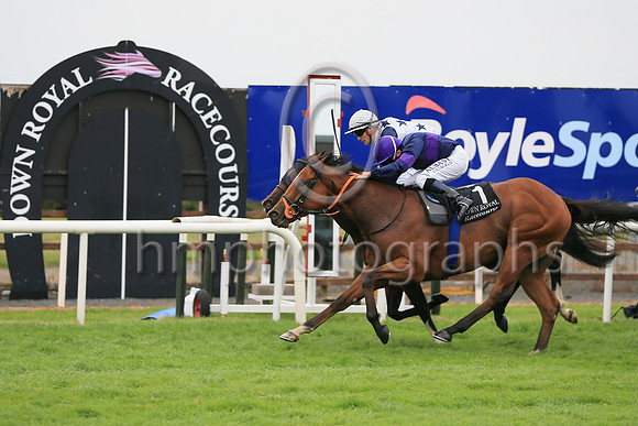 01st Sceolan (8 , white, bue stars ) Jockey: W J Lee , Trainer: W McCreery