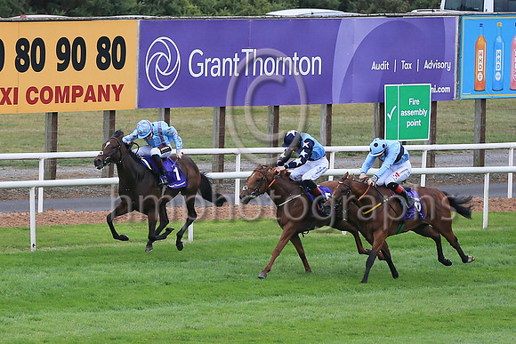 01st Pub Talk (6 , light blue, dark blue hoop ) Jockey: C T Keane , Trainer: Noel Meade
