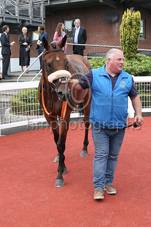 01st Sign From Above (4 , pink, blue stars ) Jockey: Sam Ewing(3) , Trainer: Peter Fahey