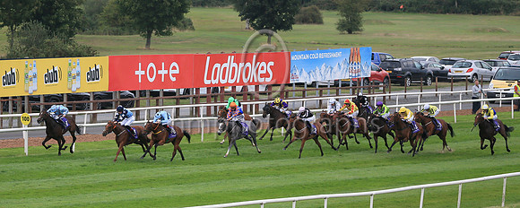 01st Pub Talk (6 , light blue, dark blue hoop ) Jockey: C T Keane , Trainer: Noel Meade