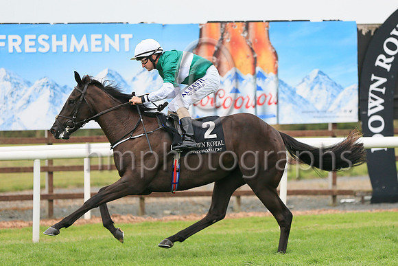 01st Panic Alarm (2 , dark green, white hoop ) Jockey: S Foley , Trainer: Mrs John Harrington