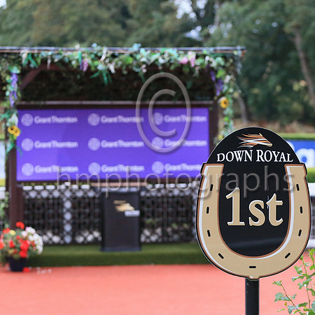 Down Royal winners enclosure