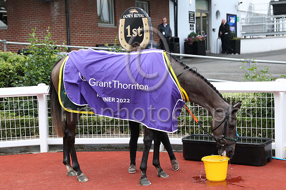 01st Sheishybrid (4 , red and white diamonds ) Jockey: C T Keane , Trainer: Noel Meade