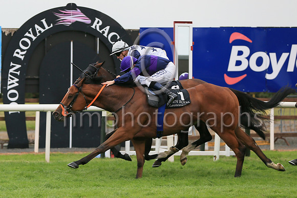 01st Sceolan (8 , white, bue stars ) Jockey: W J Lee , Trainer: W McCreery