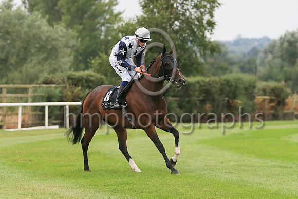 01st Sceolan (8 , white, bue stars ) Jockey: W J Lee , Trainer: W McCreery