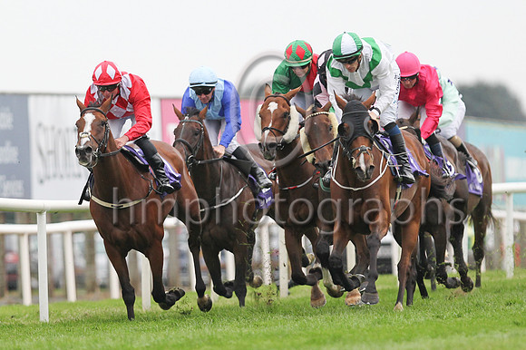 03rd Rich Belief (6 , white, green cross sashes ) Jockey: W J Lee , Trainer: Karl Thornton