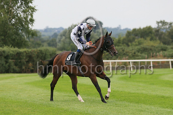 01st Sceolan (8 , white, bue stars ) Jockey: W J Lee , Trainer: W McCreery