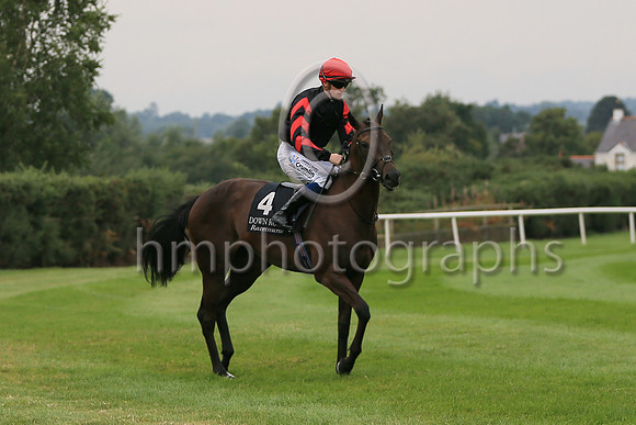 01st Ocean Jewel (4 , black ) Jockey: W J Lee , Trainer: W McCreery