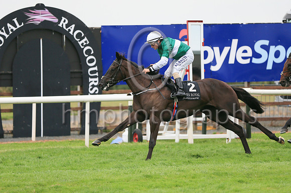 01st Panic Alarm (2 , dark green, white hoop ) Jockey: S Foley , Trainer: Mrs John Harrington