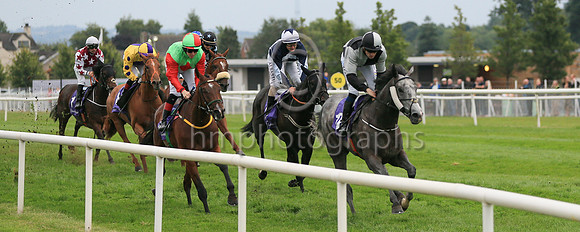 03rd Action Motion (10 , grey and black qtrd ) Jockey: W J Lee , Trainer: A Oliver