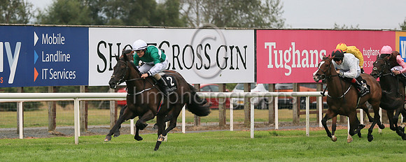 01st Panic Alarm (2 , dark green, white hoop ) Jockey: S Foley , Trainer: Mrs John Harrington