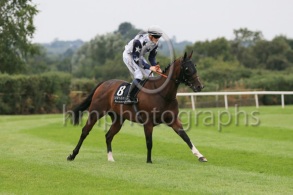 01st Sceolan (8 , white, bue stars ) Jockey: W J Lee , Trainer: W McCreery
