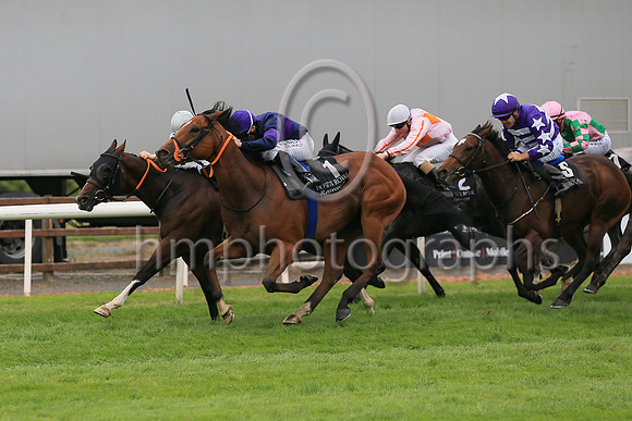 01st Sceolan (8 , white, bue stars ) Jockey: W J Lee , Trainer: W McCreery