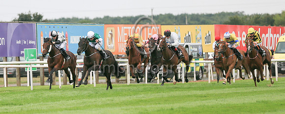 01st Panic Alarm (2 , dark green, white hoop ) Jockey: S Foley , Trainer: Mrs John Harrington