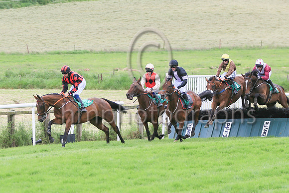 Race 3 Winner Hurricane Georgie ridden by Corey McGiven - coulours black, mauve panel number 1