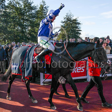01st Frodon and Bryony Frost ( 2 , blue, white chevron ) Trainer - P F Nicholls , Owner - P J Vogt