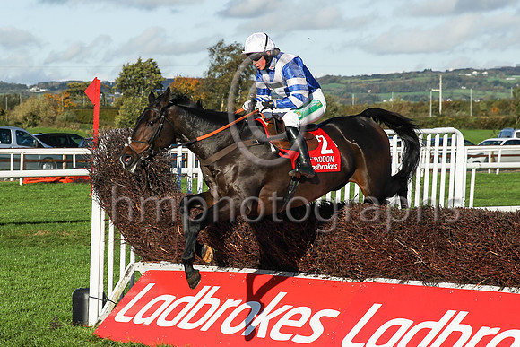 01st Frodon and Bryony Frost ( 2 , blue, white chevron ) Trainer - P F Nicholls , Owner - P J Vogt