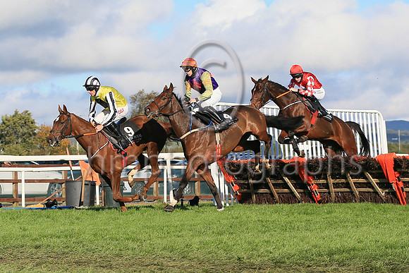 01st Mighty Potter and J W Kennedy ( 15 , red, white diamond ) Trainer - G Elliott , Owner - Caldwell Construction Ltd