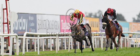 01st Sheishybrid (4 , red and white diamonds ) Jockey: C T Keane , Trainer: Noel Meade