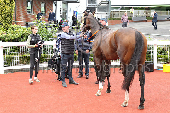 01st Sceolan (8 , white, bue stars ) Jockey: W J Lee , Trainer: W McCreery