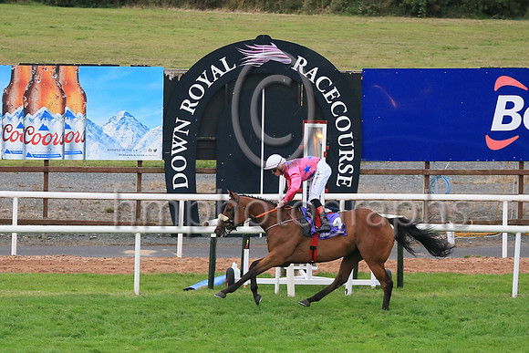 01st Sign From Above (4 , pink, blue stars ) Jockey: Sam Ewing(3) , Trainer: Peter Fahey