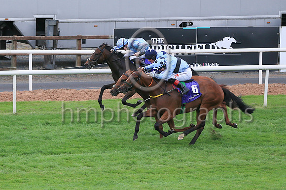 01st Pub Talk (6 , light blue, dark blue hoop ) Jockey: C T Keane , Trainer: Noel Meade