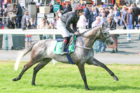 Race 4 Winner Dollar Value ridden by Mark McDonagh trained by T G McCourt - colours black, red and white cap number 1