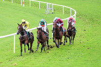 01st Kingston Retreat and C A L anders ( 8 , red  and white stripes ) Trainer - J Barcoe , Owner - James M Barcoe  S Shanahan