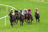 01st Kingston Retreat and C A L anders ( 8 , red  and white stripes ) Trainer - J Barcoe , Owner - James M Barcoe  S Shanahan