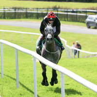Race 4 Winner Dollar Value ridden by Mark McDonagh trained by T G McCourt - colours black, red and white cap number 1