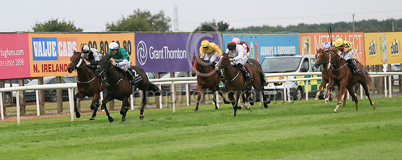 01st Panic Alarm (2 , dark green, white hoop ) Jockey: S Foley , Trainer: Mrs John Harrington