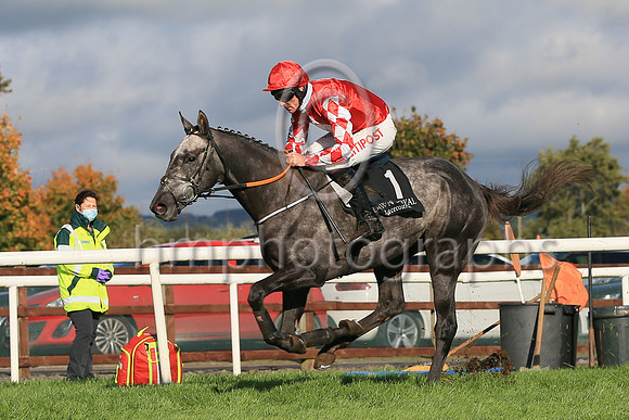 01st Fil Dor and D N Russell ( 1 , red, white diamond ) Trainer - G Elliott , Owner - Caldwell Construction Ltd
