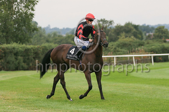 01st Ocean Jewel (4 , black ) Jockey: W J Lee , Trainer: W McCreery