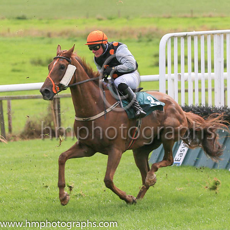 05th Its All Gucci and H Morgan3 ( 3 , black, orange spots ) Trainer - Gary McGill , Owner - Philip S McWilliams  James G Bradley  Henry McElwee