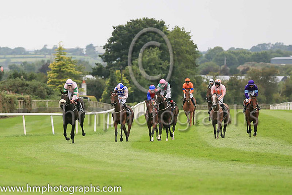 Race 1 at DOwn ROyal on 3rd September 2021 - The Irish Stallion Farms ERF Fillies Maiden