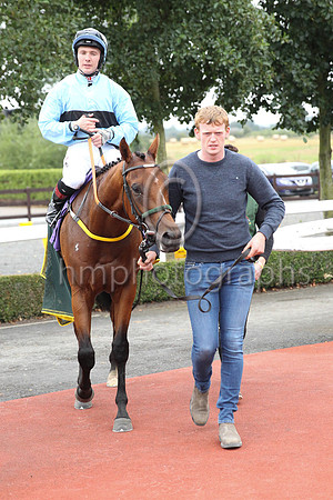 01st Pub Talk (6 , light blue, dark blue hoop ) Jockey: C T Keane , Trainer: Noel Meade