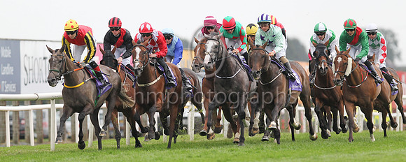 The Grant Thornton Ulster Cesarewitch Handicap at Down Royal on 2nd September 2022