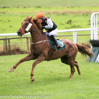 05th Its All Gucci and H Morgan3 ( 3 , black, orange spots ) Trainer - Gary McGill , Owner - Philip S McWilliams  James G Bradley  Henry McElwee
