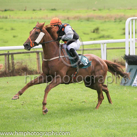 05th Its All Gucci and H Morgan3 ( 3 , black, orange spots ) Trainer - Gary McGill , Owner - Philip S McWilliams  James G Bradley  Henry McElwee