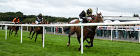 01st Gateau De Miel and D J OKeeffe ( 2 , bleak, yellow cross sashes ) Trainer - H De Bromhead , Owner - John Patrick Byrne