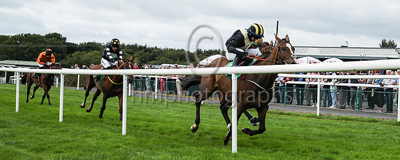 01st Gateau De Miel and D J OKeeffe ( 2 , bleak, yellow cross sashes ) Trainer - H De Bromhead , Owner - John Patrick Byrne